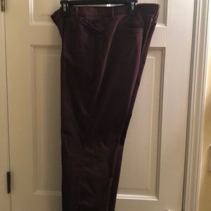 Lee all day pants